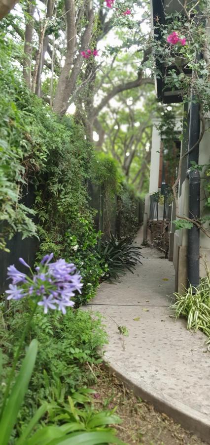 Los Tarcos Guest House San Salvador de Jujuy Eksteriør bilde