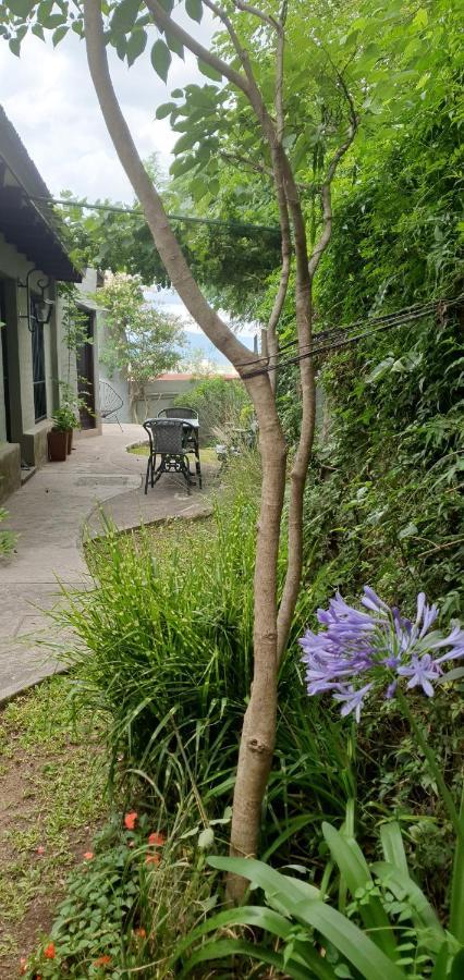 Los Tarcos Guest House San Salvador de Jujuy Eksteriør bilde