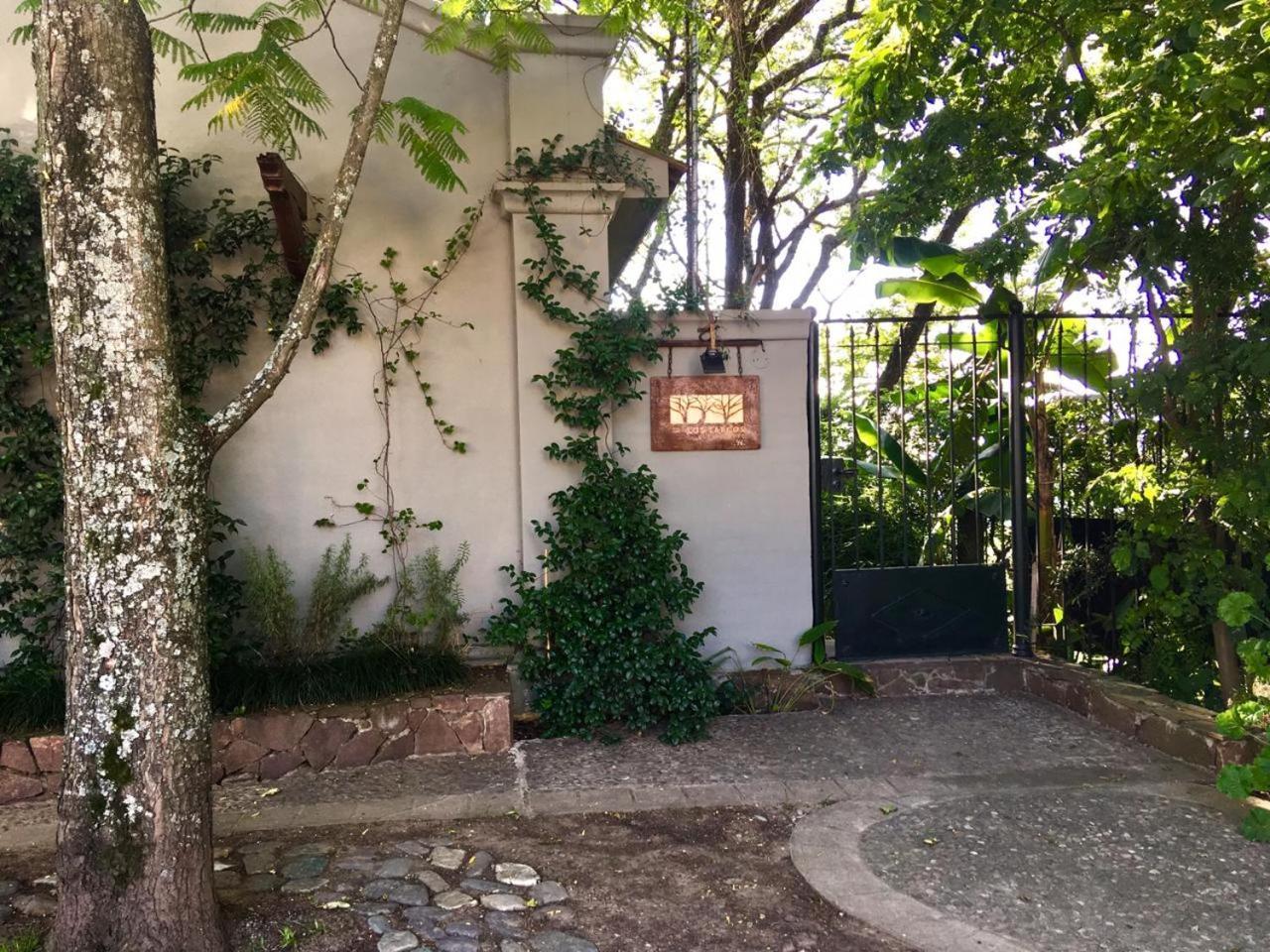 Los Tarcos Guest House San Salvador de Jujuy Eksteriør bilde
